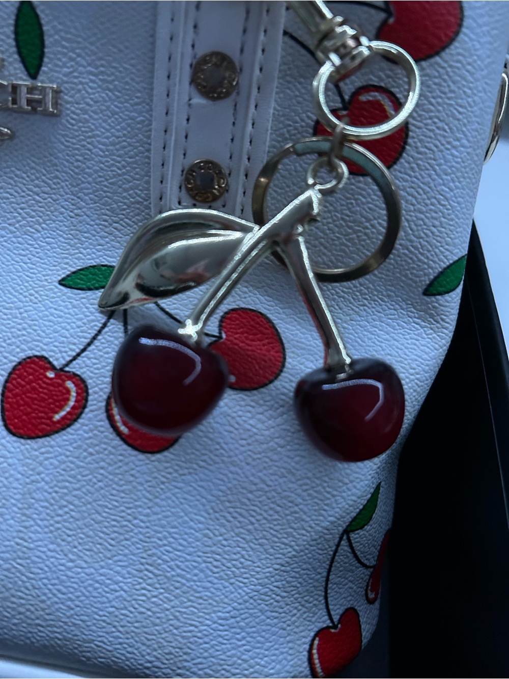 Women’s Coach Bag - Picture 4 of 12
